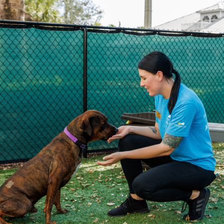 Brittany Bass gives a treat to shelter dog Max