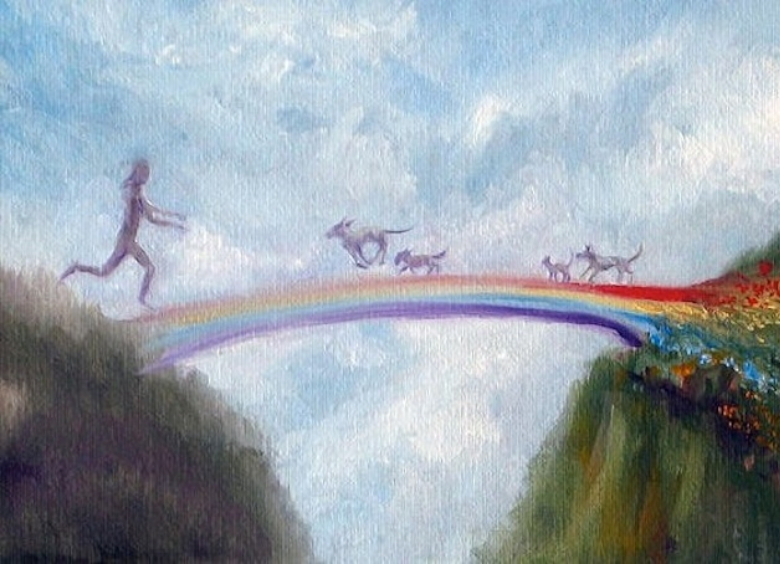 Rainbow Bridge Remembrance Day | Humane Society Naples