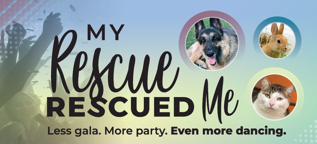 My Rescue Rescued Me
