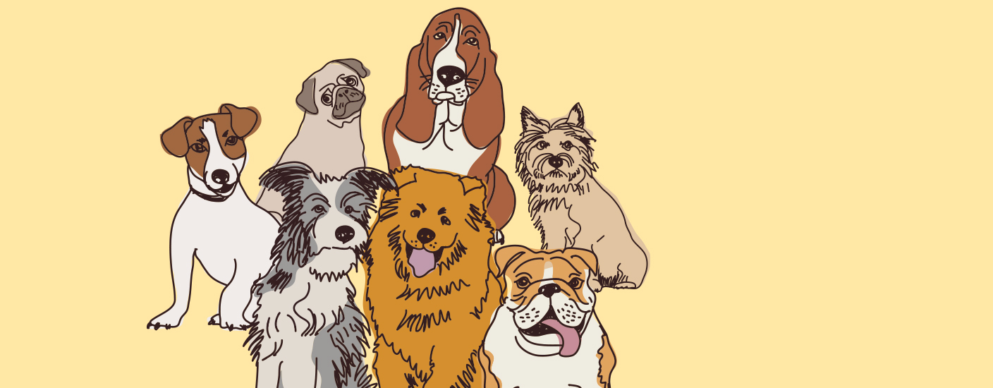 Teach Your Old Dog New Tricks | Humane Society Naples