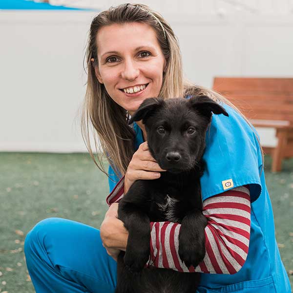 Alice Zerpa Veterinary Staff Humane Society Naples Collier County No Kill Animal Shelter