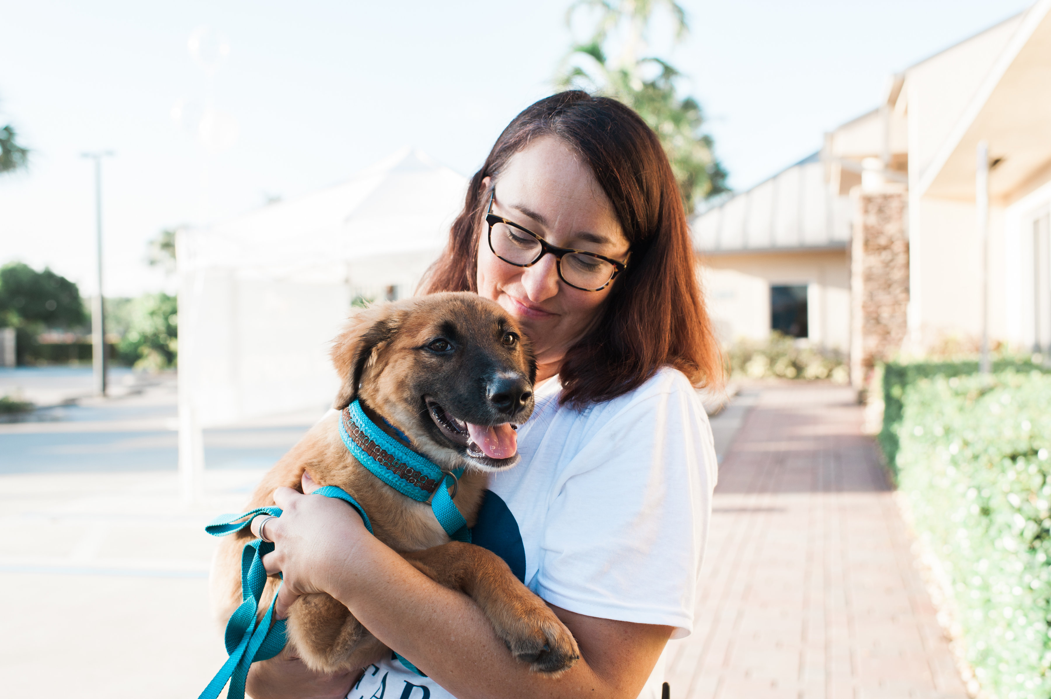 Clear the Shelter Event | Humane Society Naples Non-Profit Animal Shelter Collier County